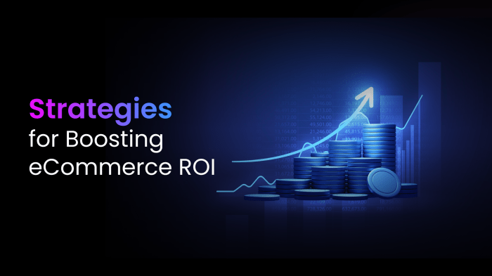 5 Strategies to Boosting E-Commerce ROI 5 Strategies to Boosting E-Commerce ROI