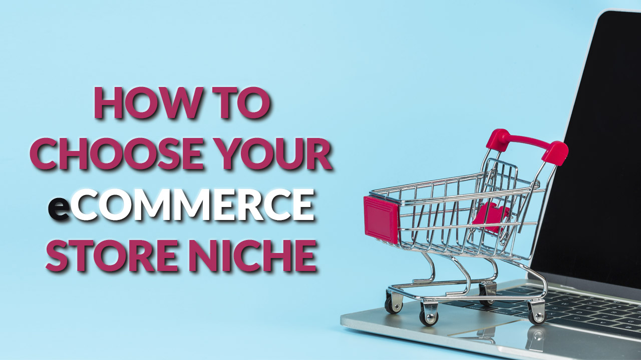 Ecommerce niche awplife