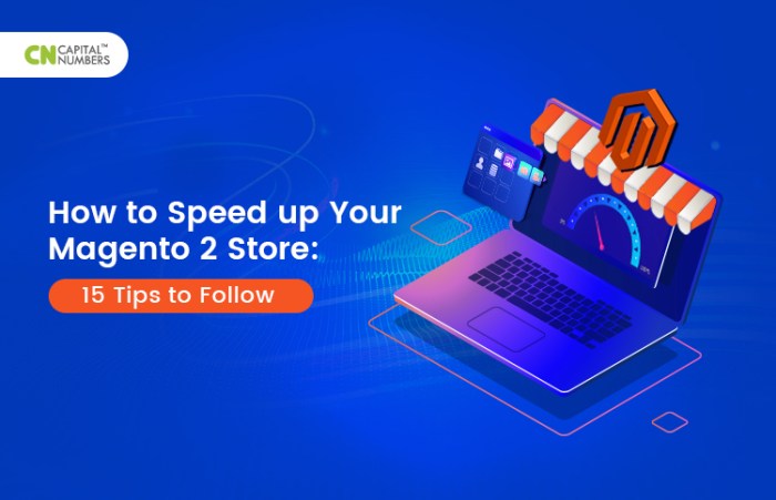 Magento 2 Google Page Speed Optimizer | Fast Magento