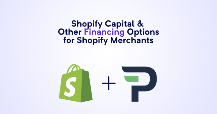 Shopify Capital Review 2022: How It Works, Rates, and More