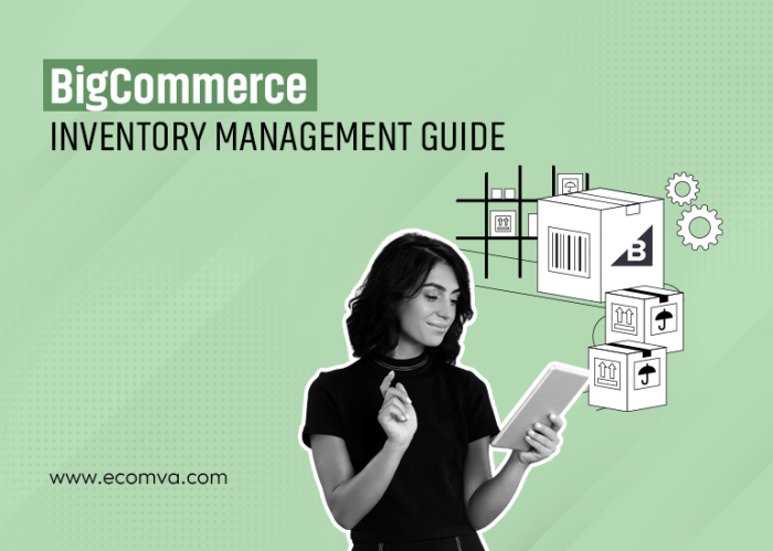 Ultimate Guide to BigCommerce Inventory Management