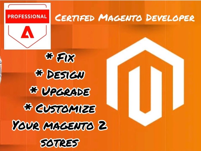 Develop, customize and fix your Magento 2 stores | Upwork Develop, customize and fix your Magento 2 stores | Upwork