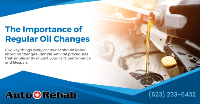 Invest in Your Vehicle’s Health: The Importance of Regular Oil Changes ...